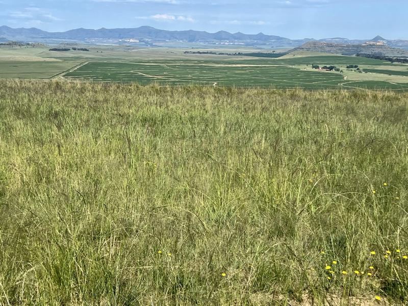 0 Bedroom Property for Sale in Fouriesburg Free State